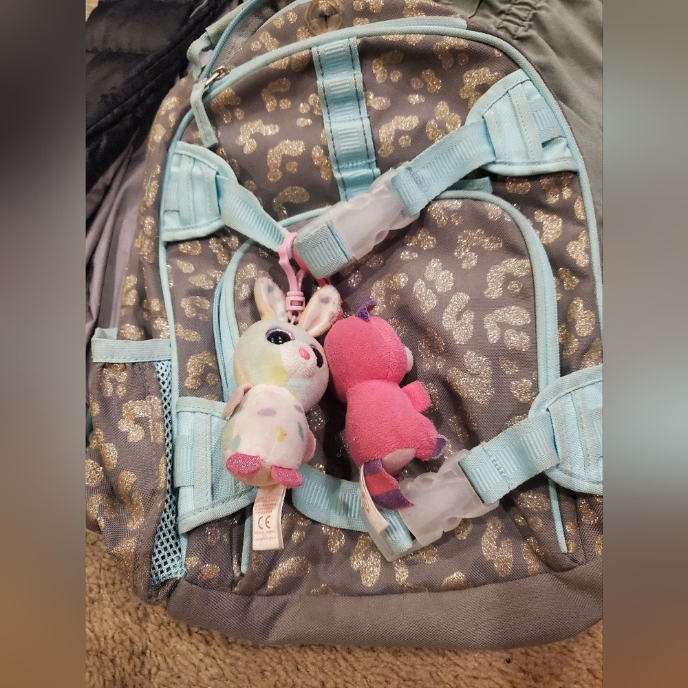 Pottery Barn Backpack